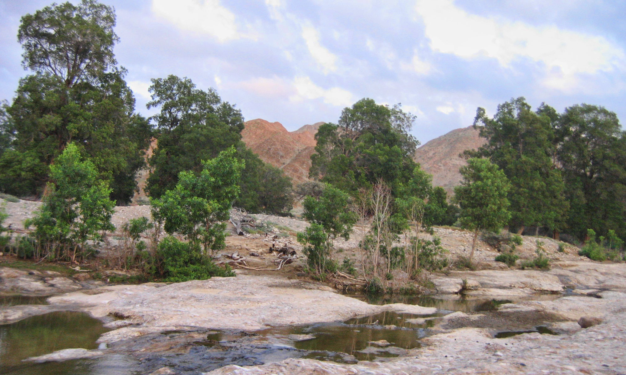 A River Runs Through It